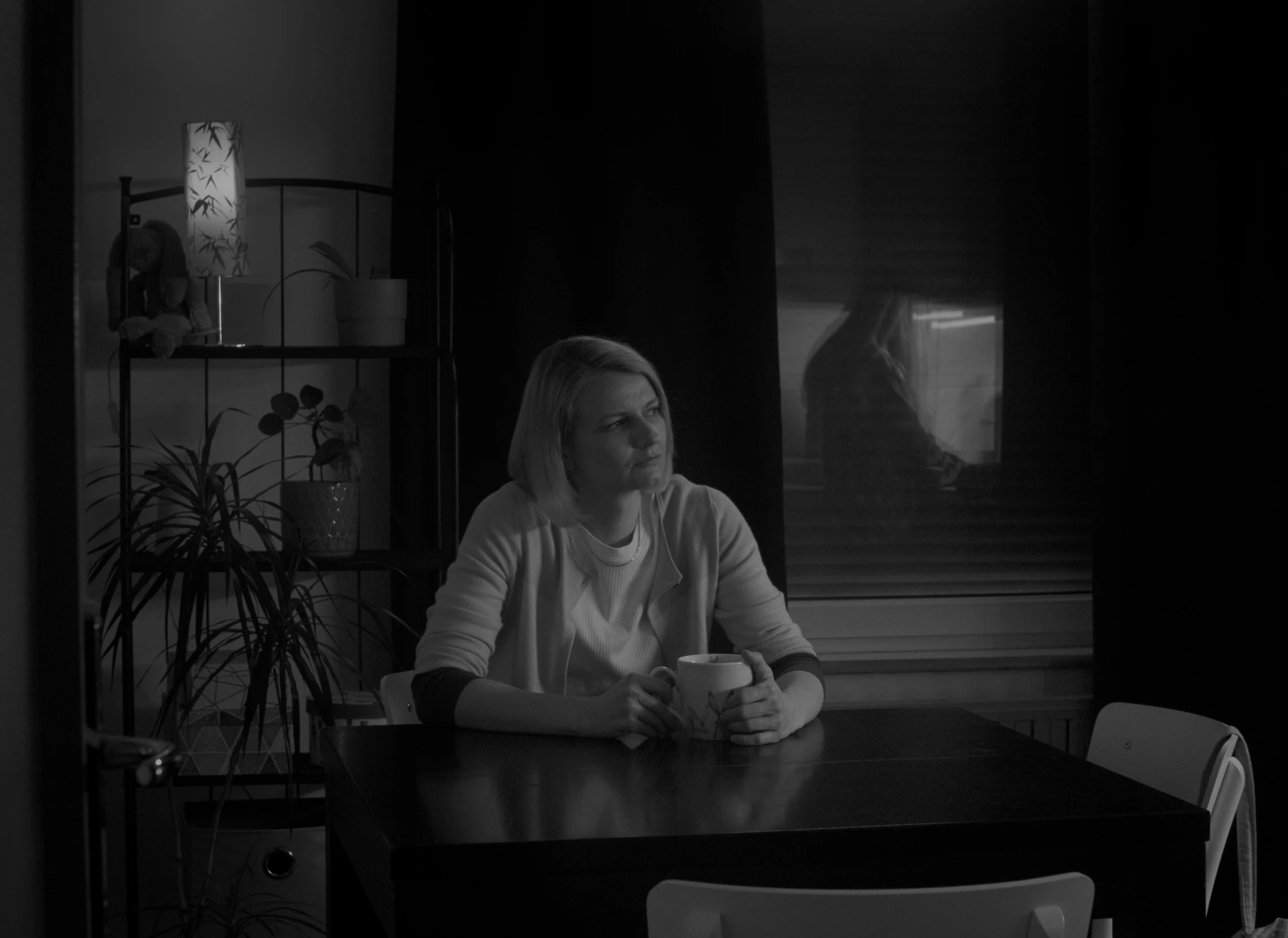 The Unfortunate Incident 2